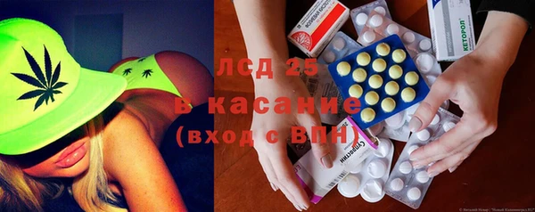 прущие грибы Покачи