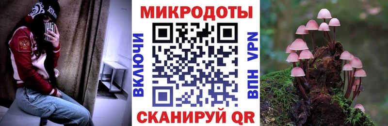 Псилоцибиновые грибы ЛСД  Зеленогорск 