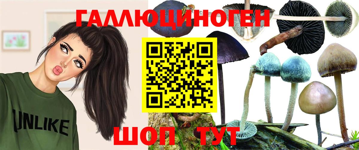 Галлюциногенные грибы мицелий Зеленогорск