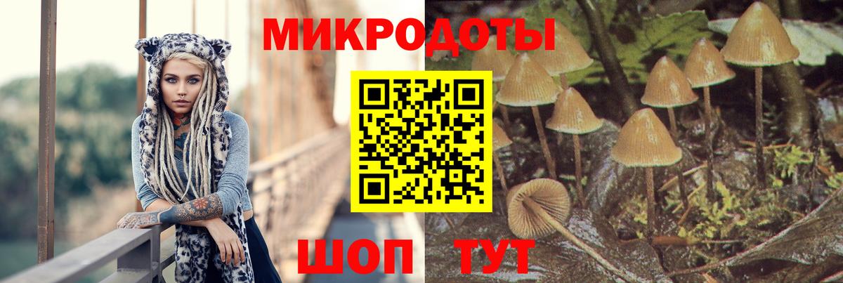 Зеленогорск  Галлюциногенные грибы MAGIC MUSHROOMS  Галлюциногенные грибы Cubensis  Вход с VPN 