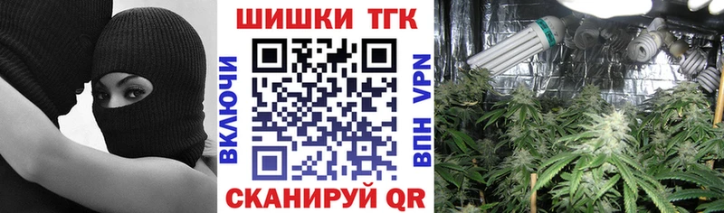 как найти закладки  Зеленогорск  Бошки марихуана OG Kush 